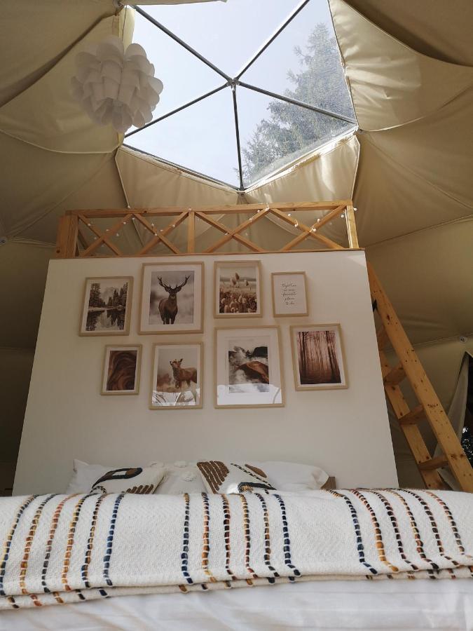 Hotel Medve Dome - Luxury Camping In The Middle Of Nature Vlahita Exterior foto